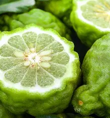 Bergamot Lemon Dark Balsamic - Image 2